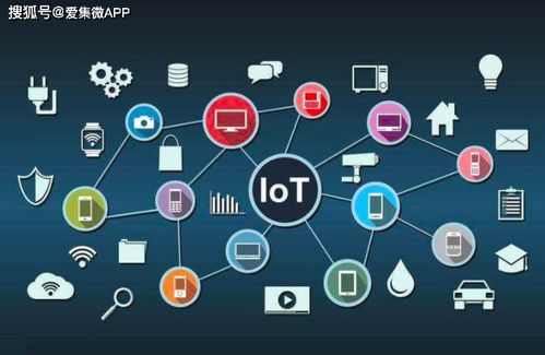 十年飲冰終上位 后浪網(wǎng)紅風(fēng)口熱戰(zhàn)硝煙起