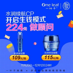 一葉子品牌代理之路 如何通過設計制作與精準發布實現市場突破